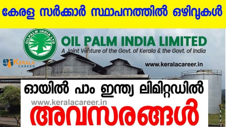 ഓയിൽ പാം ഇന്ത്യ ലിമിറ്റഡിൽ ജോലി ഒഴിവുകൾ; യോഗ്യത പത്താം ക്ലാസ് മുതൽ