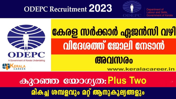 വിദേശത്ത് നിരവധി ജോലി ഒഴിവുകൾ ; യോഗ്യത പ്ലസ്ടു മുതൽ