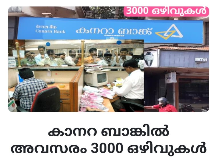 കാനറ ബാങ്കിൽ ജോലി ഒഴിവുകള്‍;   3000 ഒഴിവുകൾ